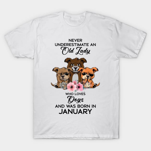 Never Underestimate An Old Woman Who Loves Cats And Was Born In January T-Shirt by Happy Solstice